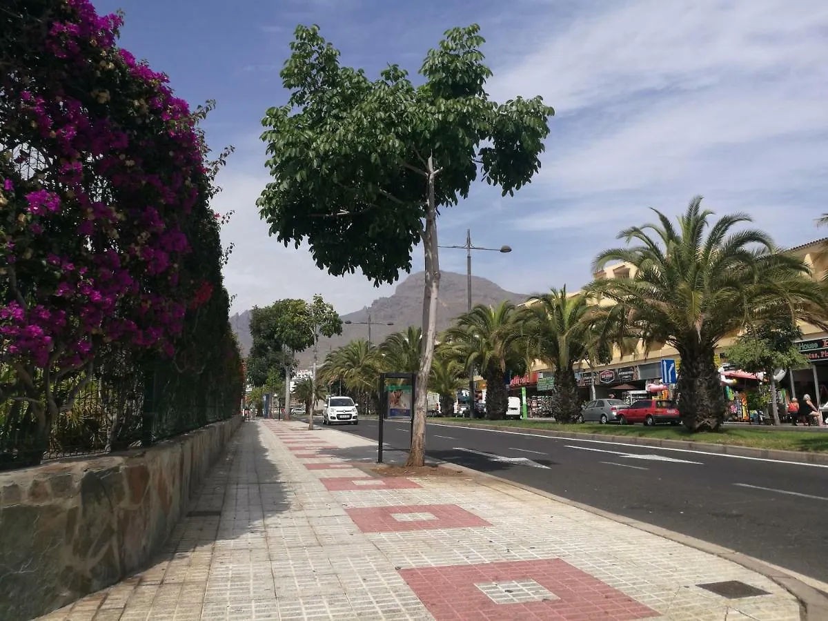 Apartment Puerto Colón Costa Adeje  Costa Adeje (Tenerife)
